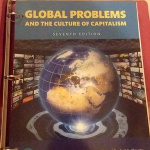 Global Problems and the Culture of Capitalism